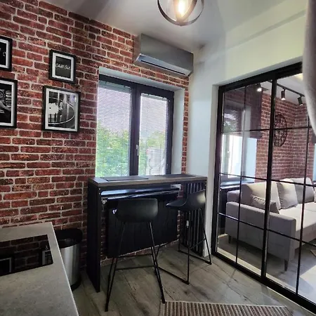 Art Apartment Craiova