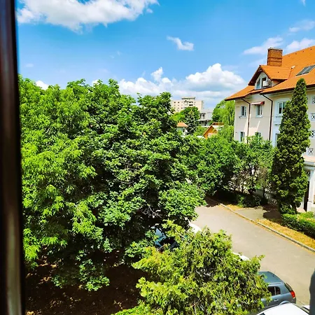 Art Craiova