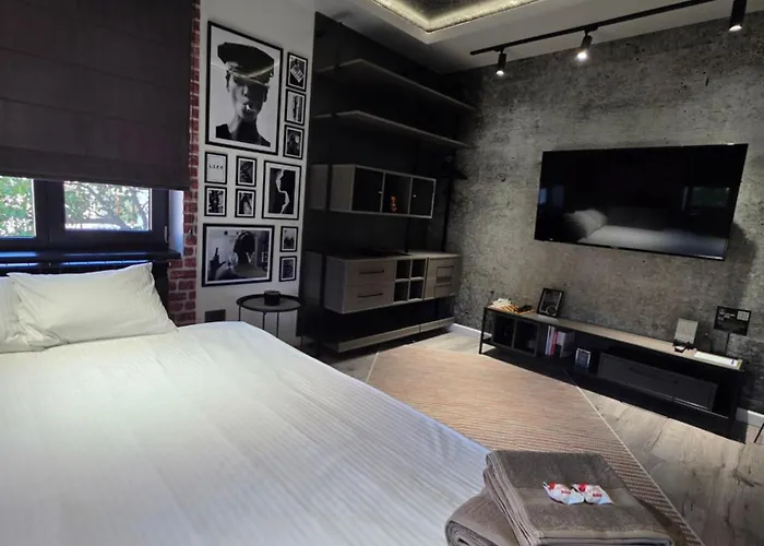 Art Apartment Craiova