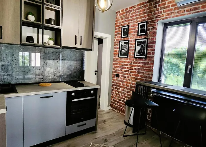 Art Apartment Craiova